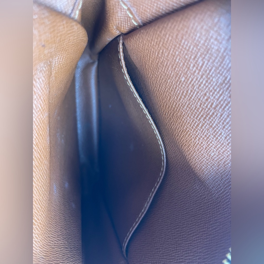 Louis Vuitton Monogram Amazone Crossbody Bag - Picture 11 of 16